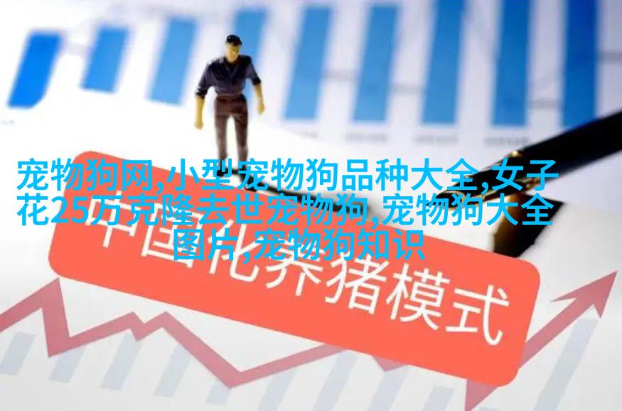 波斯吉普赛混血