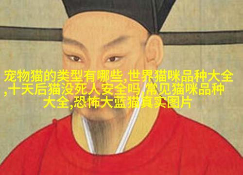 德国牧羊dog