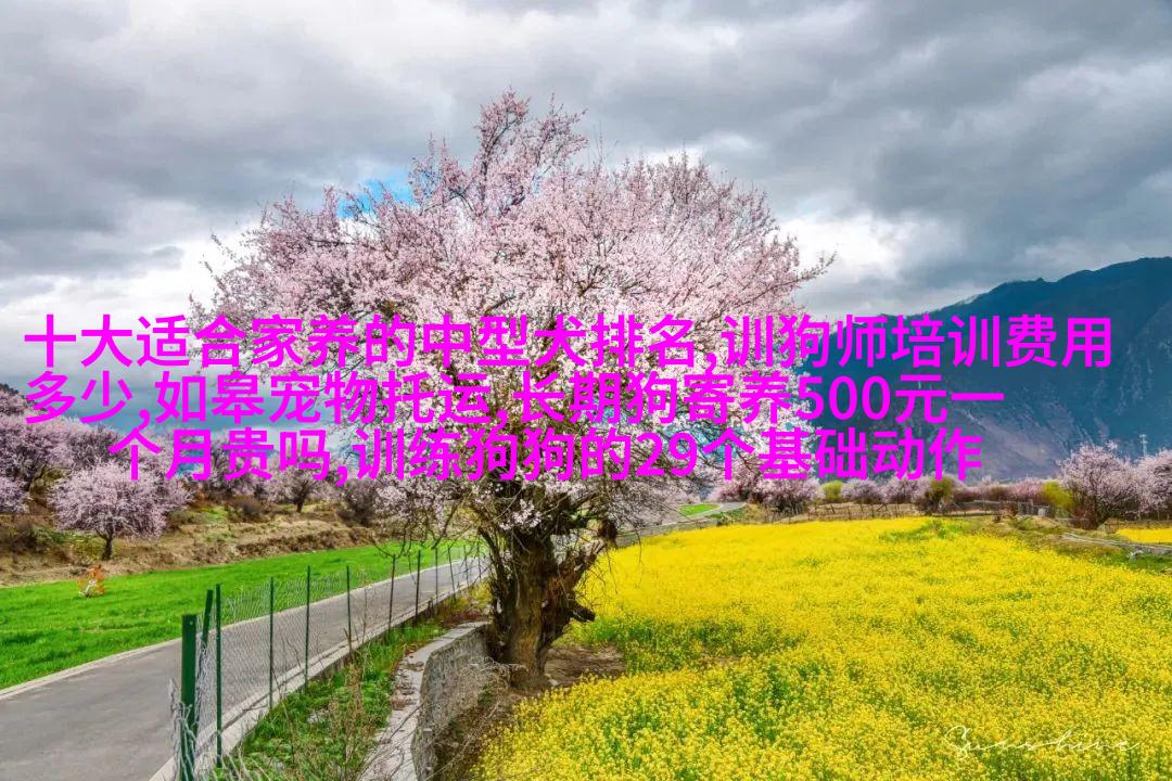 达尔美斯