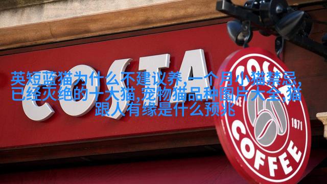 奥尔兰多短 毛