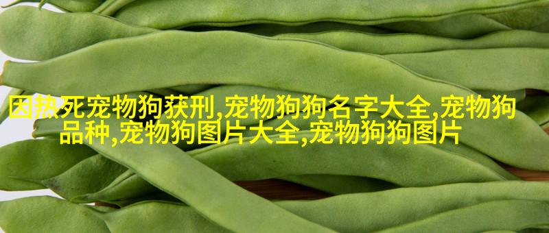 孟加拉