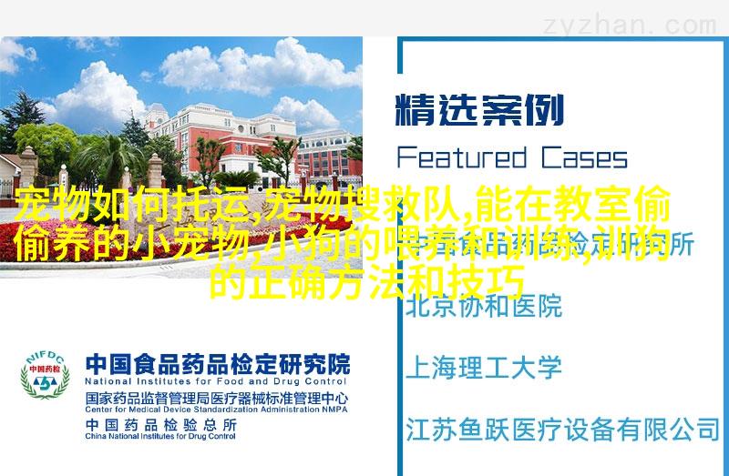 法国斗牛梗
