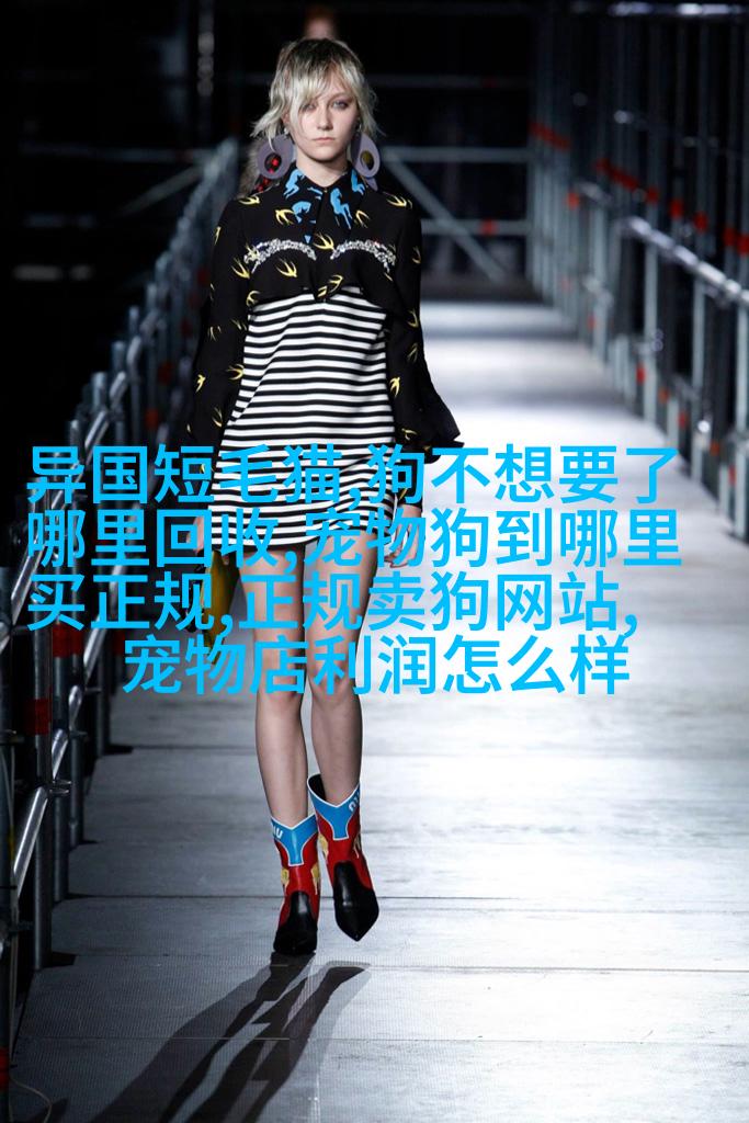 比熊