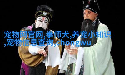 奇特姿势