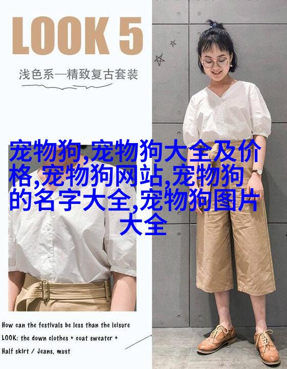 法国巴哥岛dog