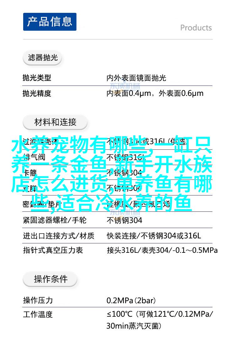 缅因海岸