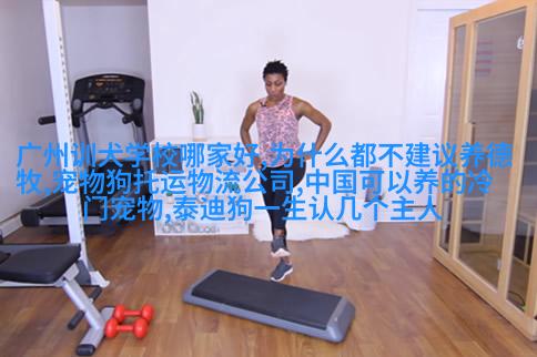 阿尔巴尼亚山羊獾