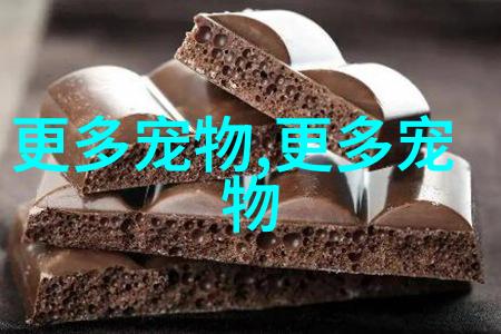 冬日睡美人
