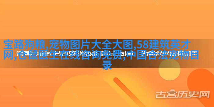 比熊