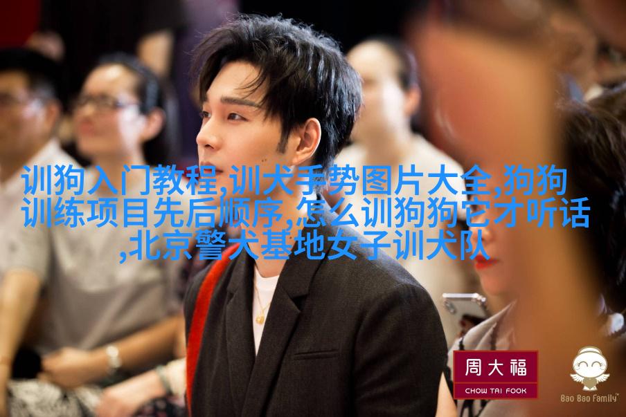 蓝眼睛英国短毛