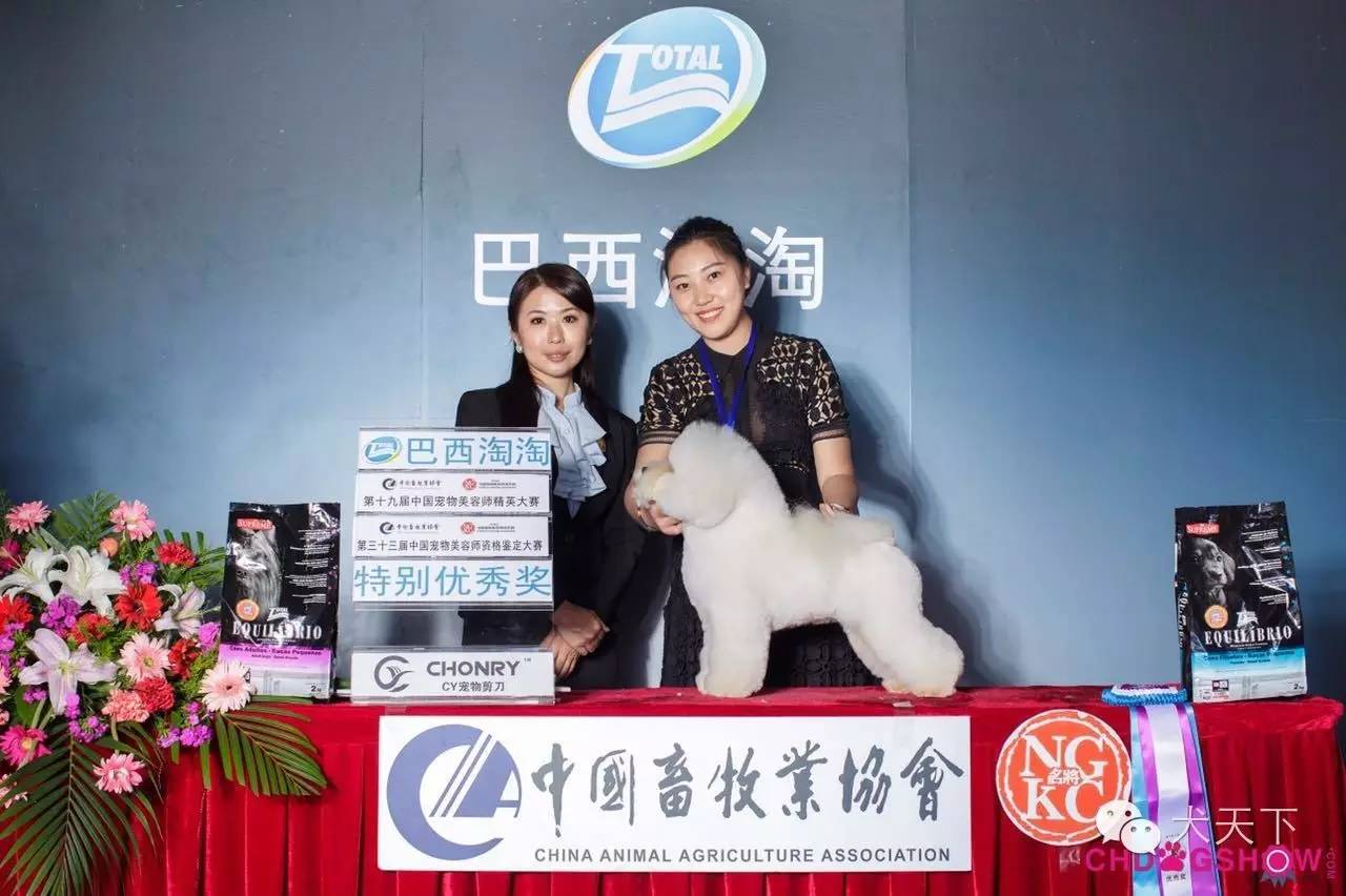 北京宠物美容学校培训价格表_培训美容宠物北京学校好吗_北京宠物美容培训学校哪家好/