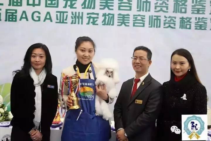 北京宠物美容学校培训价格表_培训美容宠物北京学校好吗_北京宠物美容培训学校哪家好/