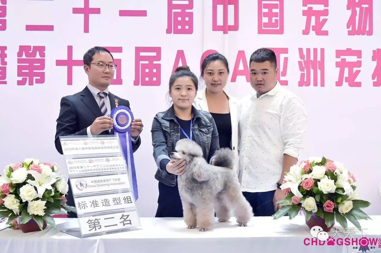 北京宠物美容学校培训价格表_北京宠物美容培训学校哪家好_培训美容宠物北京学校好吗/