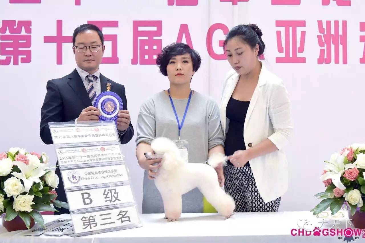 北京宠物美容学校培训价格表_培训美容宠物北京学校好吗_北京宠物美容培训学校哪家好/