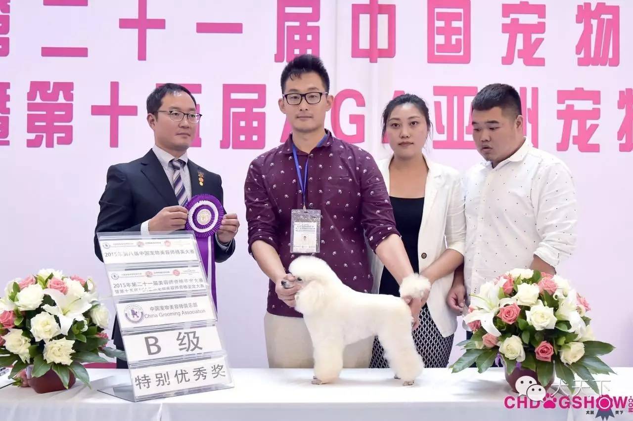 北京宠物美容培训学校哪家好_培训美容宠物北京学校好吗_北京宠物美容学校培训价格表/