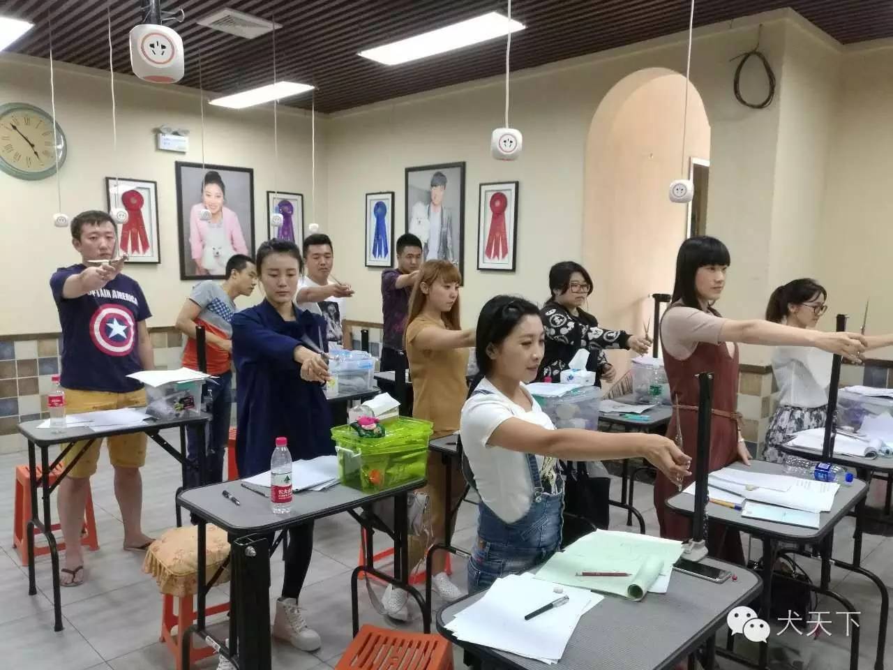 北京宠物美容学校培训价格表_北京宠物美容培训学校哪家好_培训美容宠物北京学校好吗/