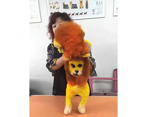太原宠物美容学校学费_山西宠物美容学校_山西宠物美容培训/
