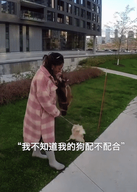 宠物全部_宠物宠物_更多宠物/