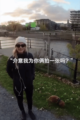 更多宠物_宠物全部_宠物宠物/