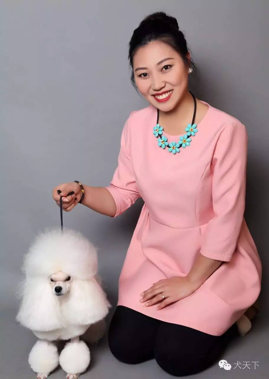 北京宠物美容学校培训价格表_培训美容宠物北京学校好吗_北京宠物美容培训学校哪家好/