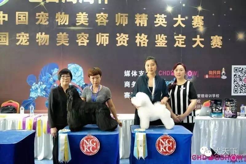 培训美容宠物北京学校好吗_北京宠物美容学校培训价格表_北京宠物美容培训学校哪家好/