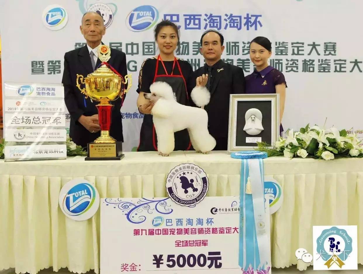 北京宠物美容培训学校哪家好_培训美容宠物北京学校好吗_北京宠物美容学校培训价格表/