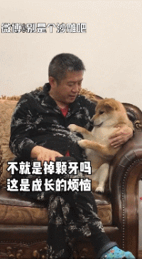 一条宠物狗_宠物狗条虫_宠物狗条件假设/