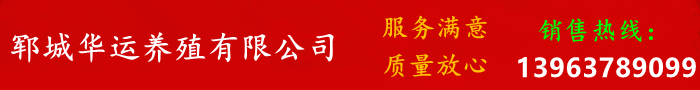 狗狗宠物大全品种图片_狗狗宠物大全品种排名_宠物狗狗品种大全