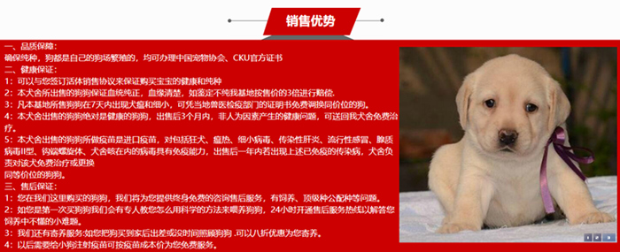 狗狗宠物大全品种图片_宠物狗狗品种大全_狗狗宠物大全品种排名