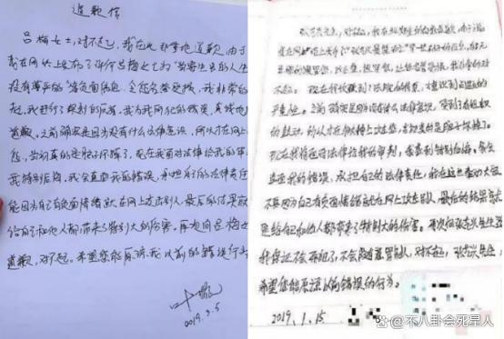 叶璇宠物狗是啥狗_叶璇宠物狗_叶璇回答狗和人的问题