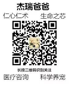 刚买的狗狗怎么训练_需要训练狗狗哪些项目_狗狗训练用品