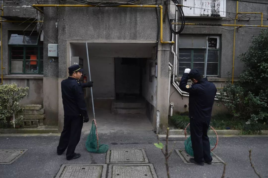 ▲一只未拴绳的狗跑进楼道“消失”了，执法队员“白忙一场”。受访者供图