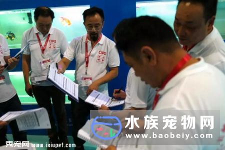 水族宠物行业发展稳定，将是下一个宠物行业分支