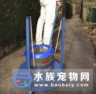 水族宠物行业发展稳定，将是下一个宠物行业分支