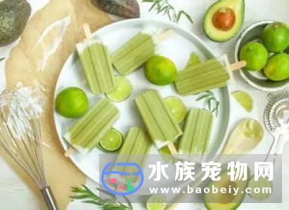 乌龟吃什么东西的_宠物频道
