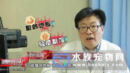 导致狗狗患胃肠炎的原因